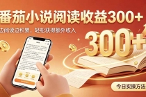 全自动番茄挂机玩法，日入300+，操作门槛低，一台电脑即可开展-臭虾米项目网