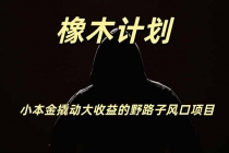 橡木计划，小投入撬动高回报的风口野路子项目，一天投入2小时左右-臭虾米项目网