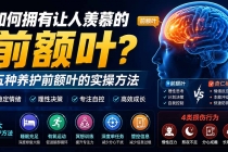 付费文章:如何拥有让人羡慕的前额叶?五种养护前额叶的实操方法-臭虾米项目网