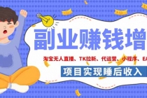 2026年多个真实落地副业项目,手把手带你搭建被动收入管道(淘宝无人直播、海外TK拉新…-臭虾米项目网
