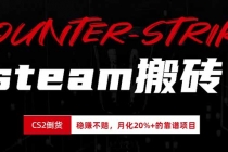 steam搬砖，倒卖cs2饰品，达到月化20%+的收益，真正的靠谱可落地长期项目-臭虾米项目网
