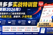 拼多多实战特训营(更新26年0821)：不管是新手入门或老商家冲量，都有实操方法，跟着学，少走弯路-臭虾米项目网