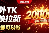 海外TK拉新新玩法，剪映就能做，不用经验不用粉丝，单条视频收益上限20000+-臭虾米项目网