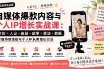 自媒体爆款内容与个人IP增长实战课：定位+人设+选题+故事+算法+数据，掌握持续涨粉与个人IP长期增长方法-臭虾米项目网