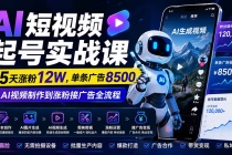 AI短视频起号实战课：45天涨粉12W，单条广告8500，从AI视频制作到涨粉接广告全流程-臭虾米项目网