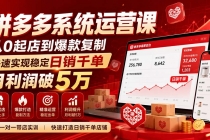 拼多多系统运营课(更新8月),从0起店到爆款复制,快速实现稳定日销千单,月利润破5万-臭虾米项目网