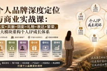 个人品牌深度定位与商业实战课：真实+共振+阴影+礼物+表达+繁荣，六大模块重构个人IP成长体系-臭虾米项目网