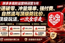 拼多多高阶运营特训营9月:快速破零、冲量爆单、强付费、自然流与顶级防比价, 顶级玩法,一次全学走-臭虾米项目网