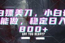 白嫖美刀,小白也能做,稳定日入800+-臭虾米项目网