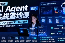 学完即用—AI Agent实战落地课-更新:一人+AI=专业财务、审计团队,解锁财务审计自动化全新工作模式-臭虾米项目网
