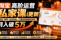 淘宝高阶运营私家课（更新26年）：选品、爆款、全店动销，三模块构建盈利闭环，月入破5万-臭虾米项目网