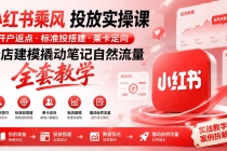 小红书乘风投放-100分钟实操课｜开户返点·标准投搭建·莱卡定向，新店建模撬动笔记自然流量全套教学-臭虾米项目网