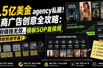 2.5亿美金agency私藏!电商广告创意全攻略:告别烧钱无效,模板SOP直接用【原创双语字幕】-臭虾米项目网
